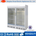 Double Doors High Quality Upright Ice Cream Refrigerator